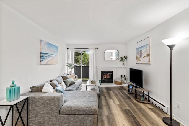 1300 Athens Plz Unit 2, Steamboat Springs, CO 80487 - living room featuring a glass covered fireplace, wood finished floors, and baseboard heating