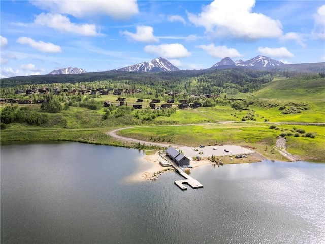 77 Hart Trl, Silverthorne, CO 80498 - photo 36