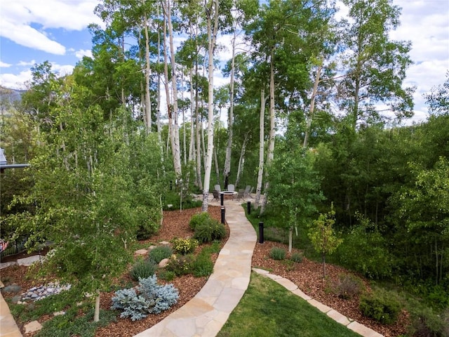 77 Hart Trl, Silverthorne, CO 80498 - photo 37