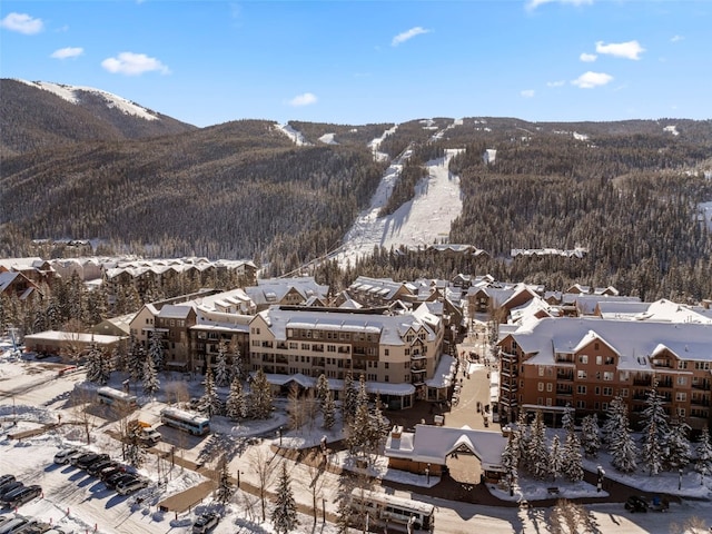 140 Ida Belle Dr Unit 8161, Keystone, CO 80435 - view of mountain background featuring a forest