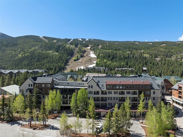 140 Ida Belle Dr Unit 8161, Keystone, CO 80435 - view of mountain background with a forest