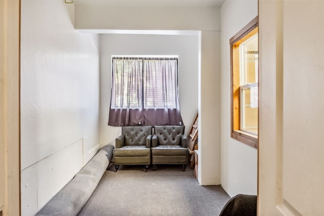 180 Emmett Lode Rd, Breckenridge, CO 80424 - living area with carpet floors