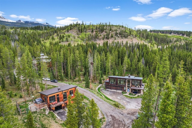 79 Zeppelin Way, Breckenridge, CO 80424 - photo 1