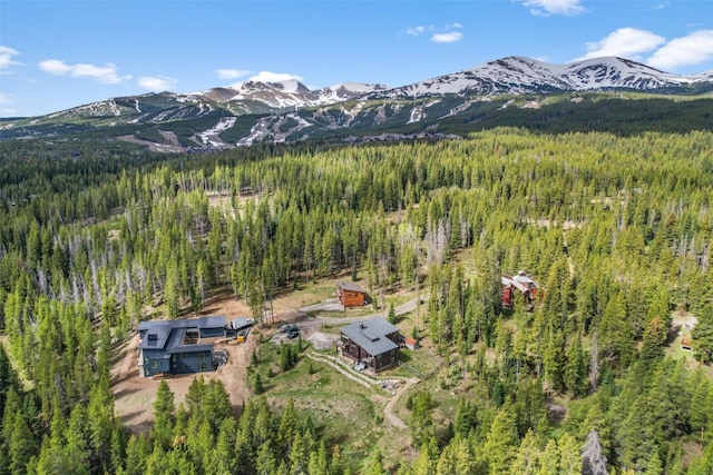 79 Zeppelin Way, Breckenridge, CO 80424 - photo 3