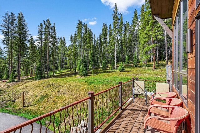 79 Zeppelin Way, Breckenridge, CO 80424 - photo 36