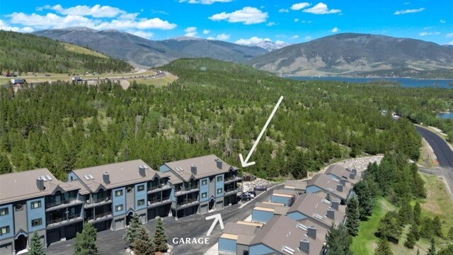 1660 Lakeview Ter Unit 306F, Frisco, CO 80443 - view of mountain background with a forest