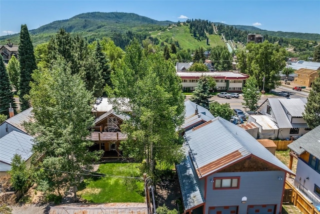 620 Pine St, Steamboat Springs, CO 80487 - photo 5