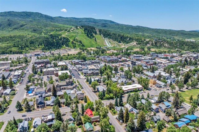 620 Pine St, Steamboat Springs, CO 80487 - photo 42