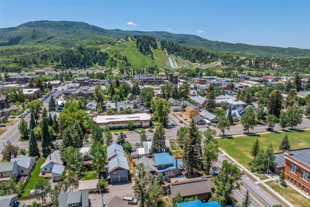 620 Pine St, Steamboat Springs, CO 80487 - photo 6