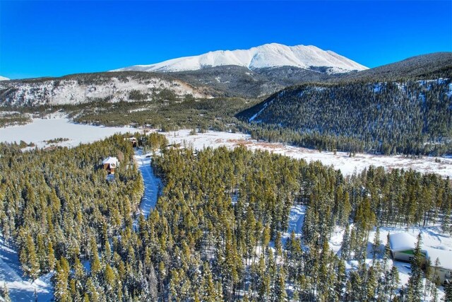 62 Tesemini Ln, Blue River, CO 80424 - photo 12