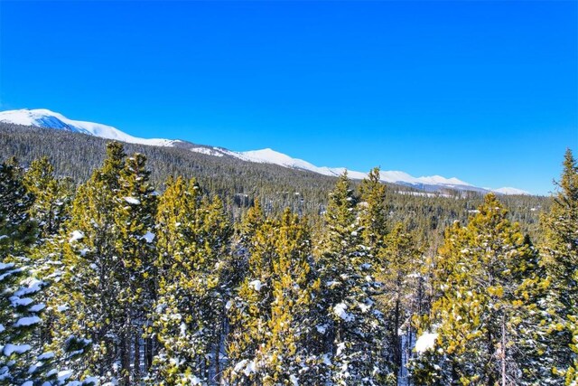 62 Tesemini Ln, Blue River, CO 80424 - photo 8