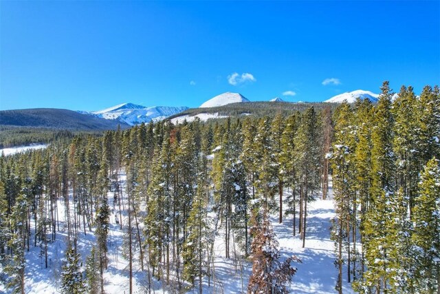 62 Tesemini Ln, Blue River, CO 80424 - photo 6