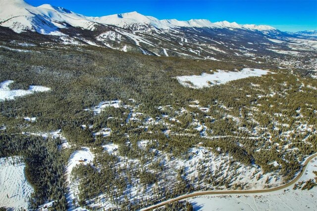 62 Tesemini Ln, Blue River, CO 80424 - photo 2