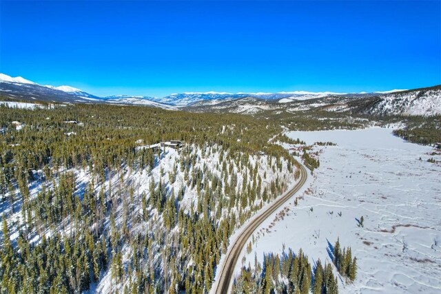 62 Tesemini Ln, Blue River, CO 80424 - photo 5