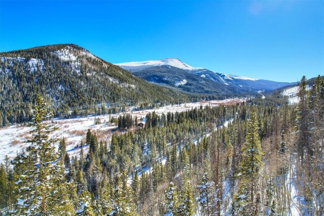 62 Tesemini Ln, Blue River, CO 80424 - photo 7