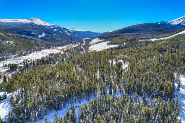 62 Tesemini Ln, Blue River, CO 80424 - photo 11