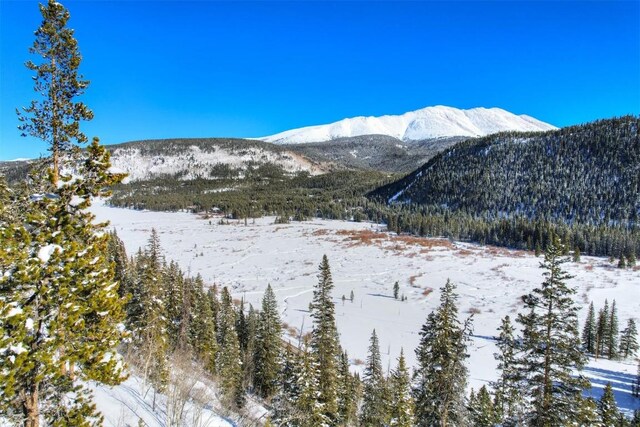 62 Tesemini Ln, Blue River, CO 80424 - photo 10