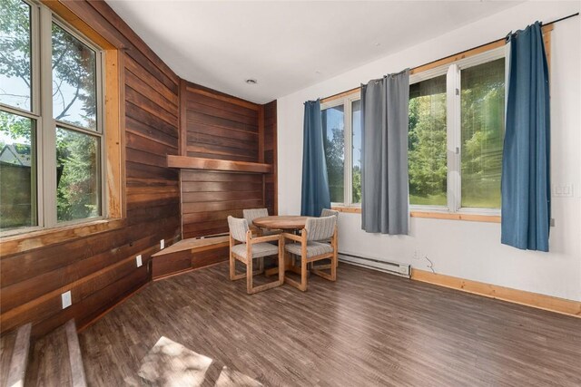 2495/2497 Val Disere Cir, Steamboat Springs, CO 80487 - interior space with wood finished floors, healthy amount of natural light, a baseboard heating unit, and wooden walls
