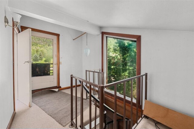2495/2497 Val Disere Cir, Steamboat Springs, CO 80487 - hall with an upstairs landing, carpet, and healthy amount of natural light