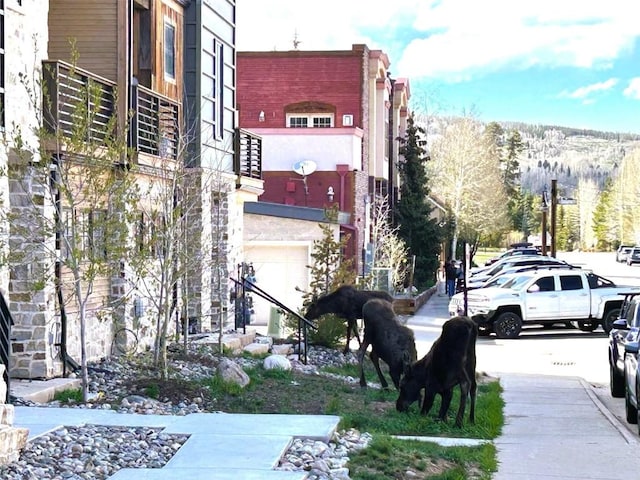 317 Granite St Unit 3, Frisco, CO 80443 - view of building exterior