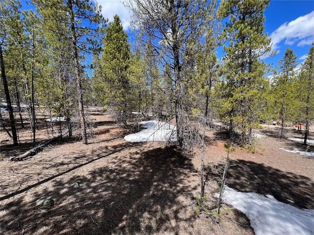 180 Mt Massive Rd, Twin Lakes, CO 81251