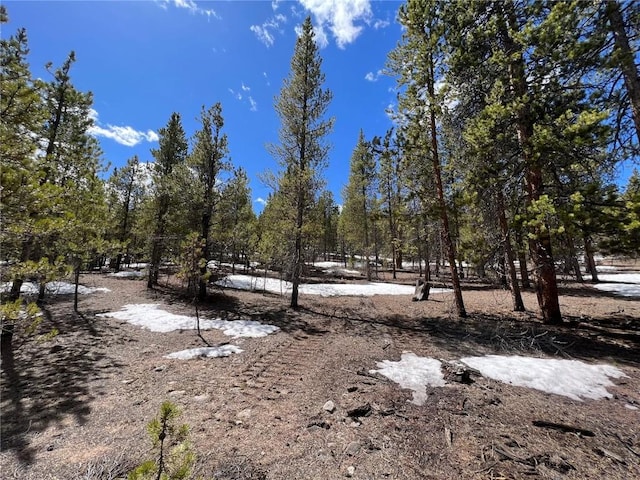 180 Mt Massive Rd, Twin Lakes, CO 81251