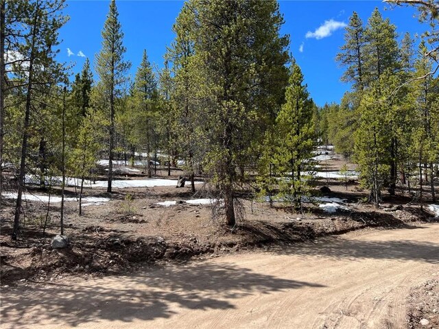 180 Mt Massive Rd, Twin Lakes, CO 81251