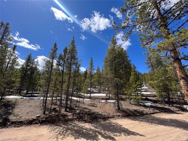180 Mt Massive Rd, Twin Lakes, CO 81251