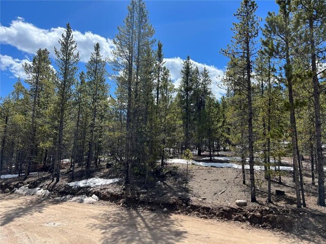 180 Mt Massive Rd, Twin Lakes, CO 81251