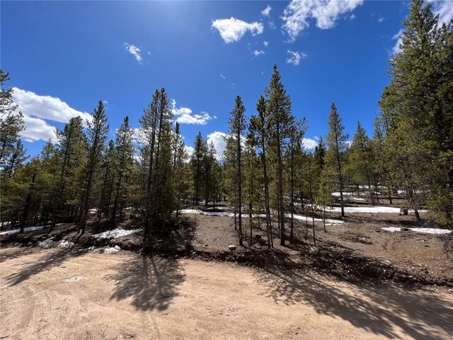 180 Mt Massive Rd, Twin Lakes, CO 81251