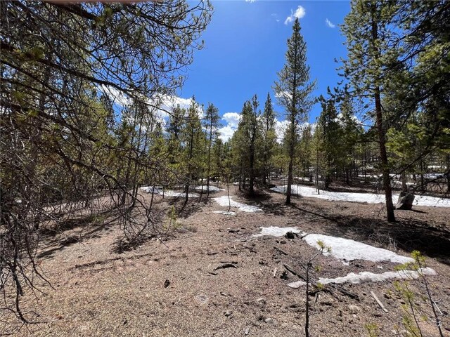 180 Mt Massive Rd, Twin Lakes, CO 81251