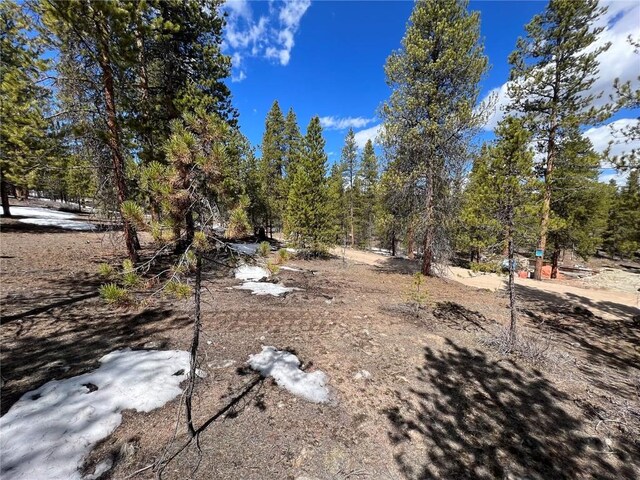 180 Mt Massive Rd, Twin Lakes, CO 81251