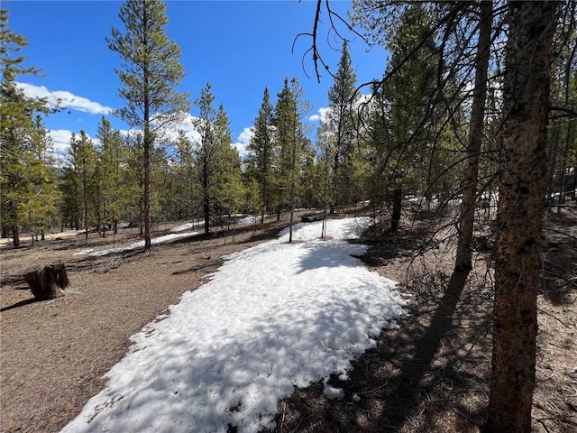 180 Mt Massive Rd, Twin Lakes, CO 81251