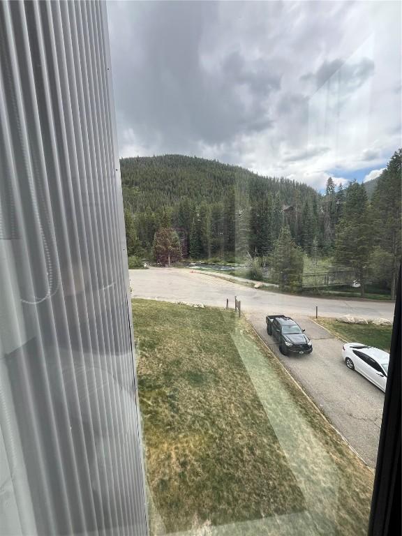 166 Argentine Ct Unit 1425, Keystone, CO 80435 - photo 8