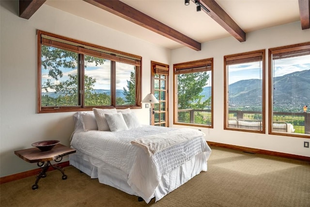 31605 Aspen Ridge Rd, Steamboat Springs, CO 80487 - photo 18