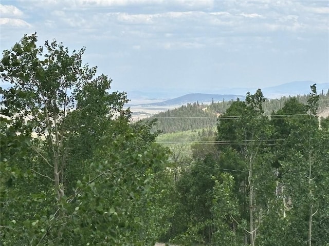 605 Lamb Mountain Rd, Fairplay, CO 80440 - mountain view