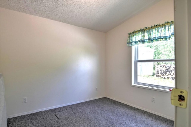 605 Lamb Mountain Rd, Fairplay, CO 80440 - unfurnished room with dark carpet and a textured ceiling