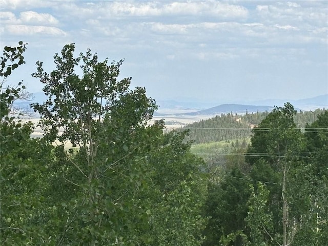 605 Lamb Mountain Rd, Fairplay, CO 80440 - mountain view