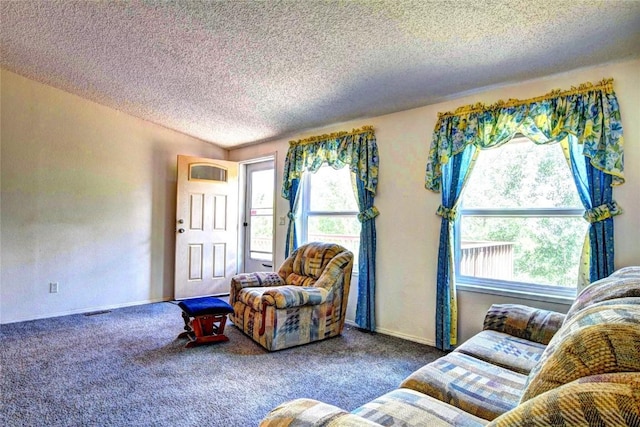 605 Lamb Mountain Rd, Fairplay, CO 80440 - living room with a textured ceiling and carpet