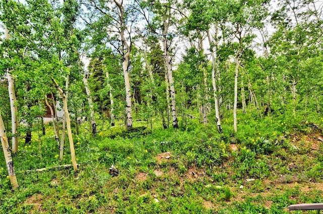 605 Lamb Mountain Rd, Fairplay, CO 80440 - view of local wilderness