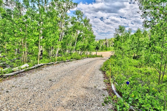 605 Lamb Mountain Rd, Fairplay, CO 80440 - view of street