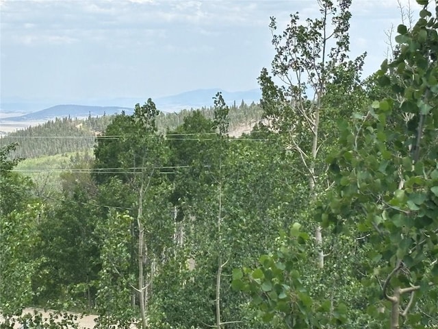 605 Lamb Mountain Rd, Fairplay, CO 80440 - view of mountain backdrop featuring a heavily wooded area