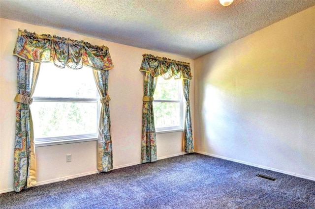 605 Lamb Mountain Rd, Fairplay, CO 80440 - carpeted empty room with a textured ceiling and baseboards