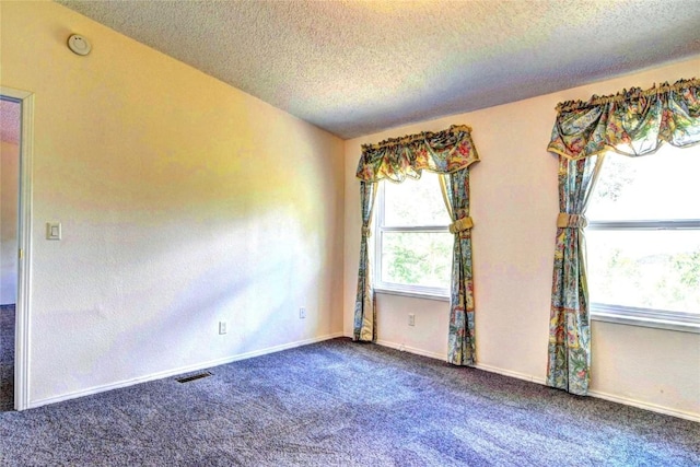 605 Lamb Mountain Rd, Fairplay, CO 80440 - spare room featuring a textured ceiling, carpet floors, and a smoke detector