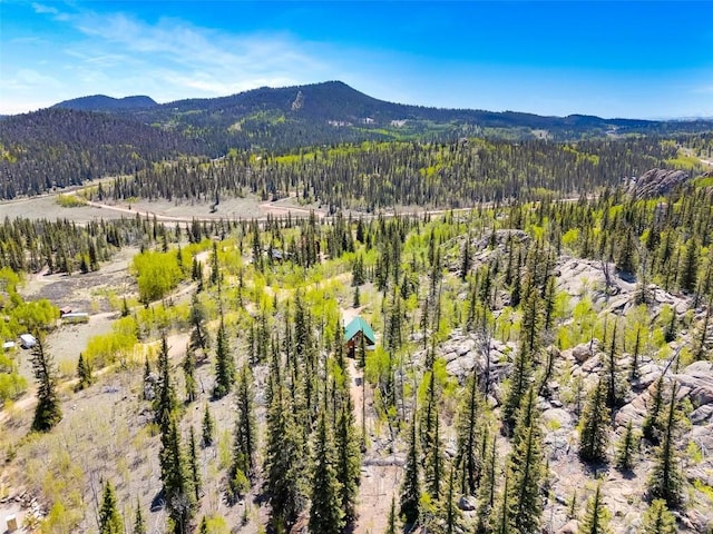 216 Ambush Ln, Jefferson, CO 80456 - drone / aerial view of mountains