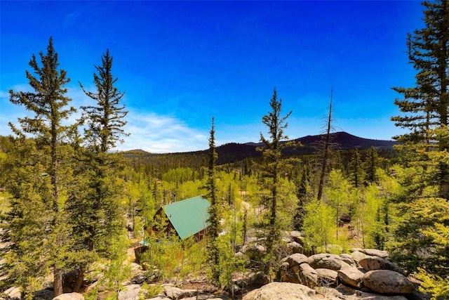 216 Ambush Ln, Jefferson, CO 80456 - view of mountain backdrop featuring a forest