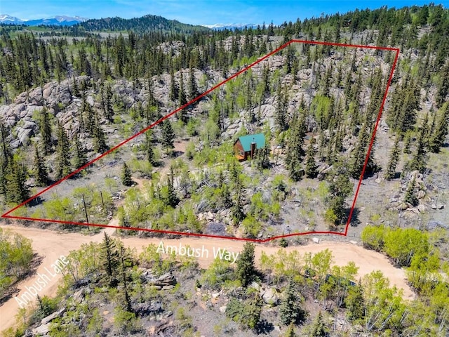 216 Ambush Ln, Jefferson, CO 80456 - aerial view of property's location featuring property parcel outlined