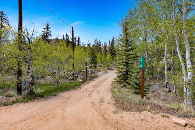 216 Ambush Ln, Jefferson, CO 80456 - view of dirt / gravel road
