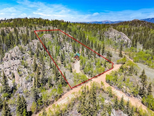 216 Ambush Ln, Jefferson, CO 80456 - view of property location featuring property boundaries highlighted and a forest