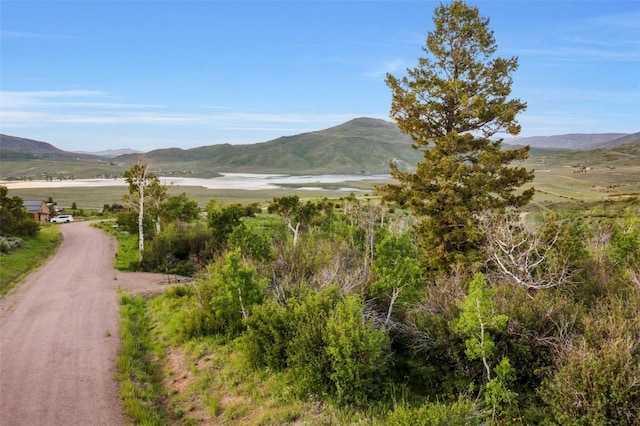 TBD04 Youngs Creek Way, Oak Creek, CO 80467